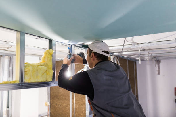 Best Types of Insulation in Roselle, IL