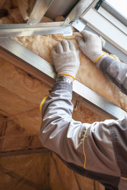 Best Types of Insulation in Roselle, IL