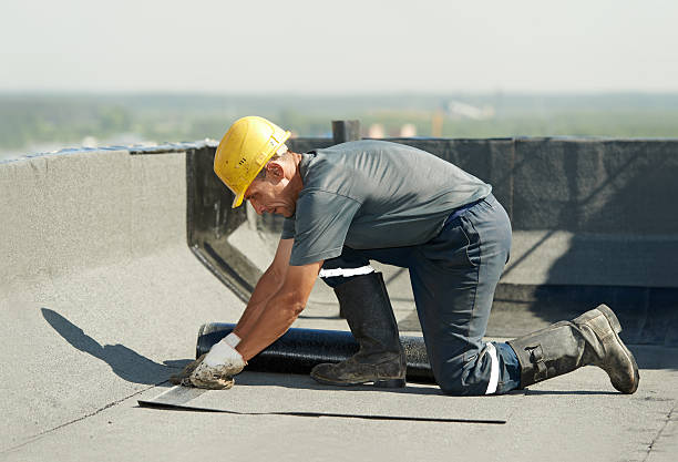 Best Energy Efficiency Solutions in Roselle, IL
