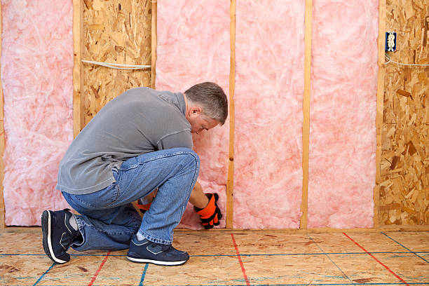 Best Insulation Maintenance and Repair in Roselle, IL