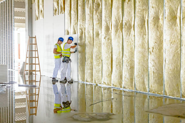 Best Insulation Installation Services in Roselle, IL
